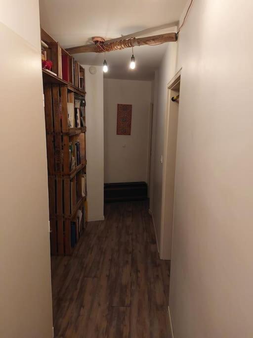 Le Cosy-Chic - T3 Balneo A Villeurbanne / Lyon Ngoại thất bức ảnh