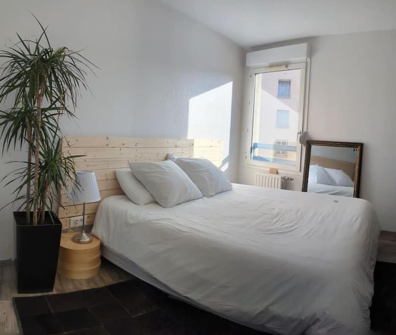 Le Cosy-Chic - T3 Balneo A Villeurbanne / Lyon Ngoại thất bức ảnh
